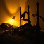 dream about snakes in house